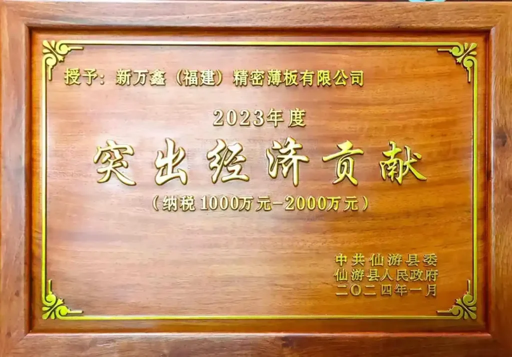 Xianyou County Government Outstanding Economic Contribution Award for Steel Industry - Newwanxin
